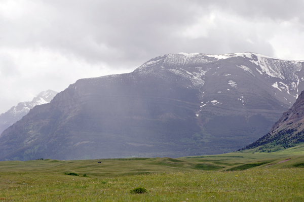 scenery at Bison Paddock